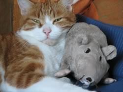 Il gatto e il topo